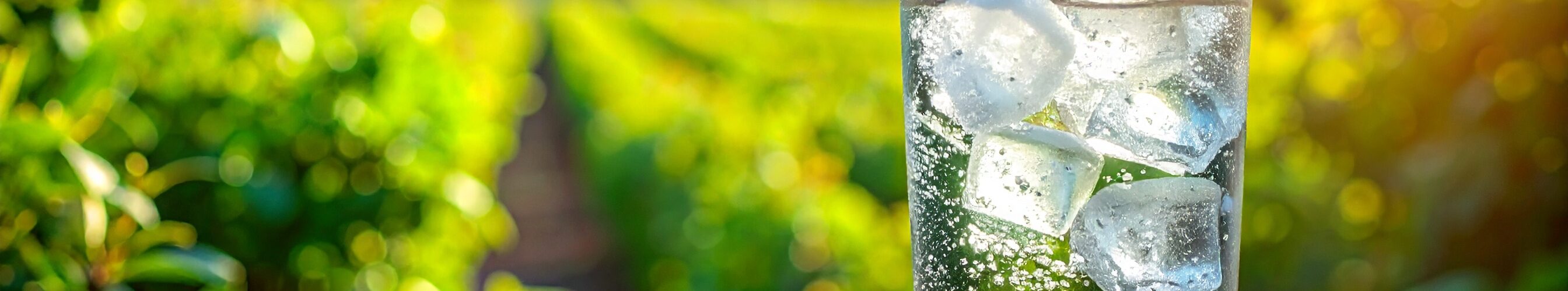 Warum Sprudel unser Gehirn auf Hochtouren bring auf sodawasser.eu